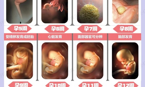 来月经填充发际线有影响吗-大姨妈期间做填充网 - 来月经可以填充太阳穴吗,月经期可以做面部填充吗